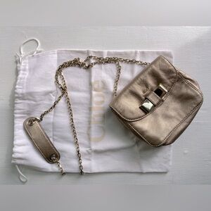 Champagne/Rose/Metallic Chloe Bag